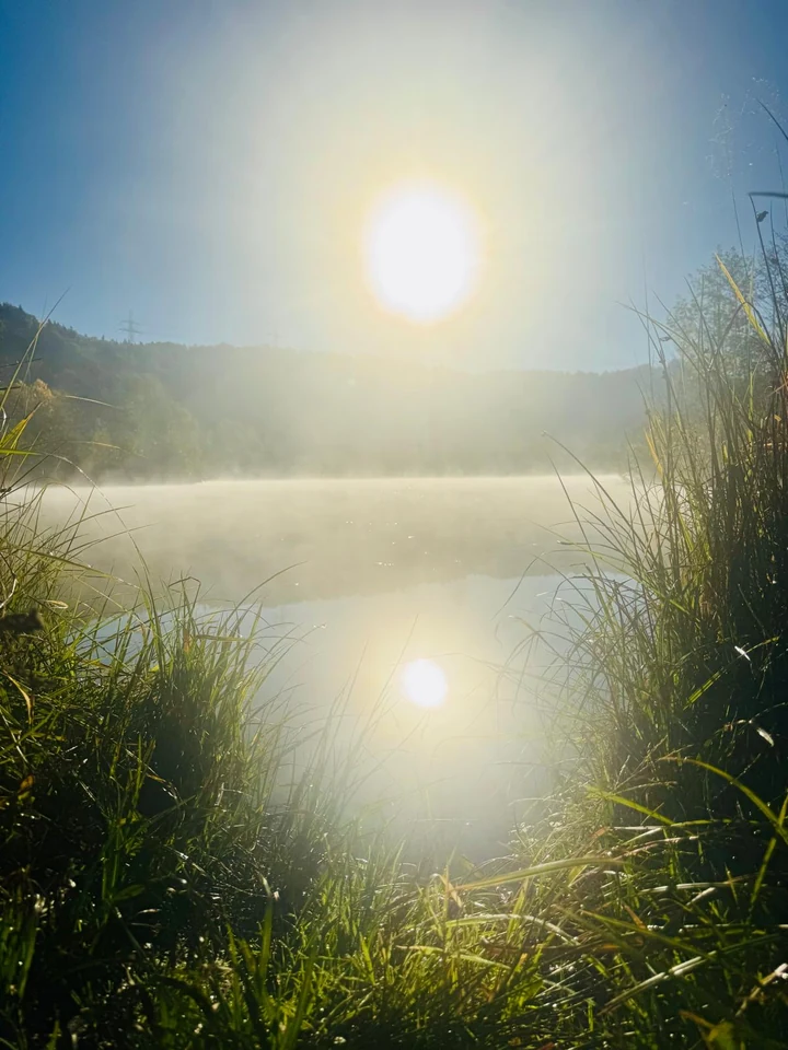 Die Morgensonne und ihre Spiegelung über einem nebligen See, eingerahmt von Schilf